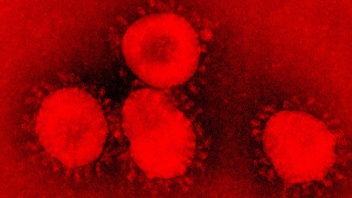el-salvador-amanece-con-9-casos-confirmados-de-coronavirus